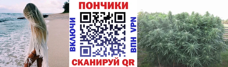 дарк нет какой сайт  Пугачёв  Бошки марихуана Amnesia 